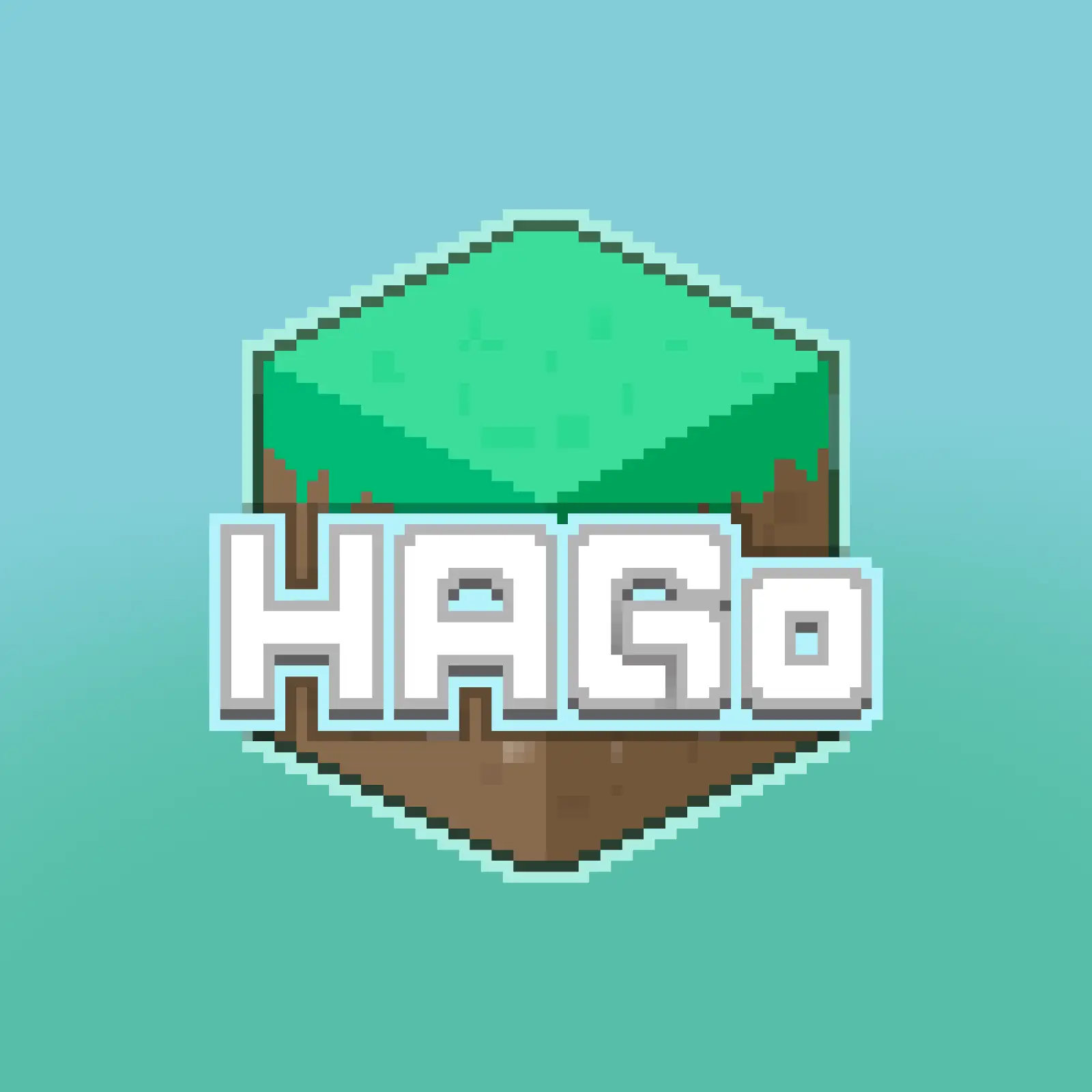 HAGo Server Team